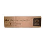 Océ 29951187 imaging unit magenta (origineel)