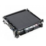 Minolta A161R71300 transfer belt (origineel)