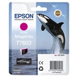 Epson T7603 inkt cartridge vivid magenta (origineel)