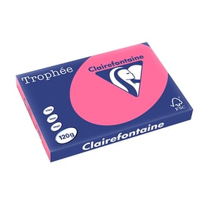 Clairefontaine papier / fuchsia / A3 / 120 gr. / 250 vel