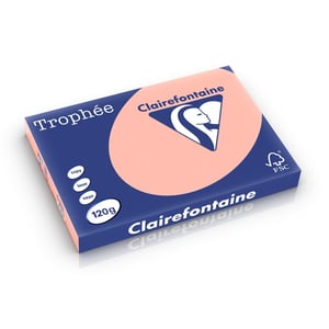 Clairefontaine papier / perzik / A3 / 120 gr. / 250 vel