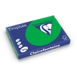 Clairefontaine papier / biljartgroen / A3 / 120 gr. / 250 vel