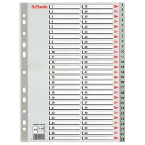 Esselte 100109 A4 index / plastic / 1-54 / 11-gaats