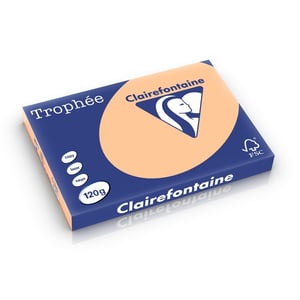Clairefontaine papier / abrikoos / A3 / 120gr. / 250 vel