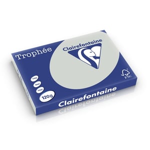 Clairefontaine papier / lichtgrijs / A3 / 120 gr. / 250 vel