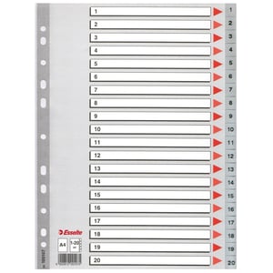 Esselte 100107 A4 index / plastic / 1-20 / 11-gaats