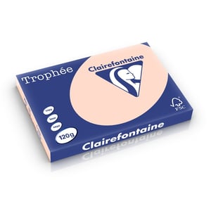 Clairefontaine papier / zalm / A3 / 120 gr. / 250 vel
