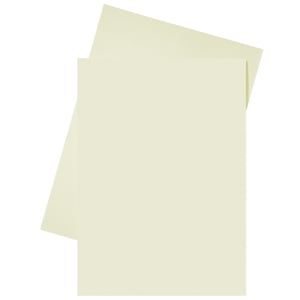 Esselte inlegmap / papier / A4 / crème / 250 stuks