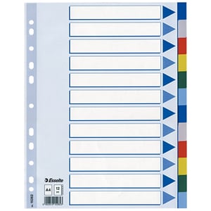 Esselte 15262 A4 tabbladen / gekleurd plastic / 12 tabs / 11-gaats