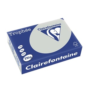 Clairefontaine papier / lichtgrijs / A4 / 210 gr. / 250 vel
