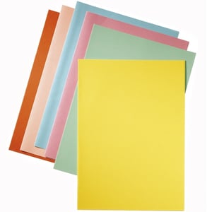 Esselte inlegmap / papier / A4 / assorti / 50 stuks