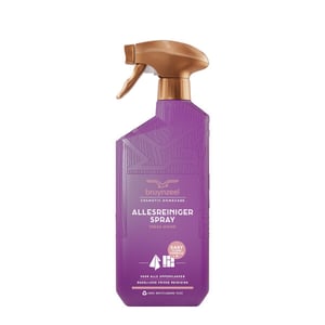 Bruynzeel Allesreinigerspray / Fresh Wood / 500 ml